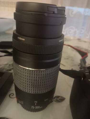Canon eos 1200d mpx - canon,