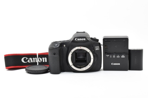 Ottime condizioni canon - canon, eos
