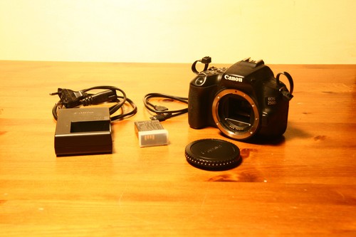 Canon eos 250d - canon, –